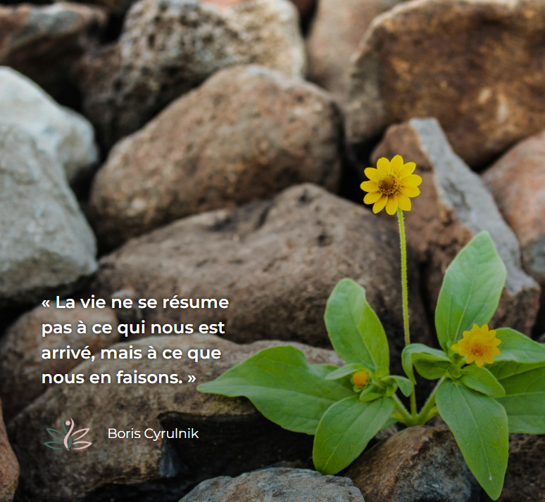 Plante verte avec fleurs jaunes sur des pierres, symbole de croissance et de renouveau.